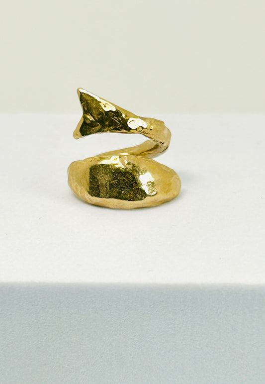 ANELLO UN GUIZZO bronzo