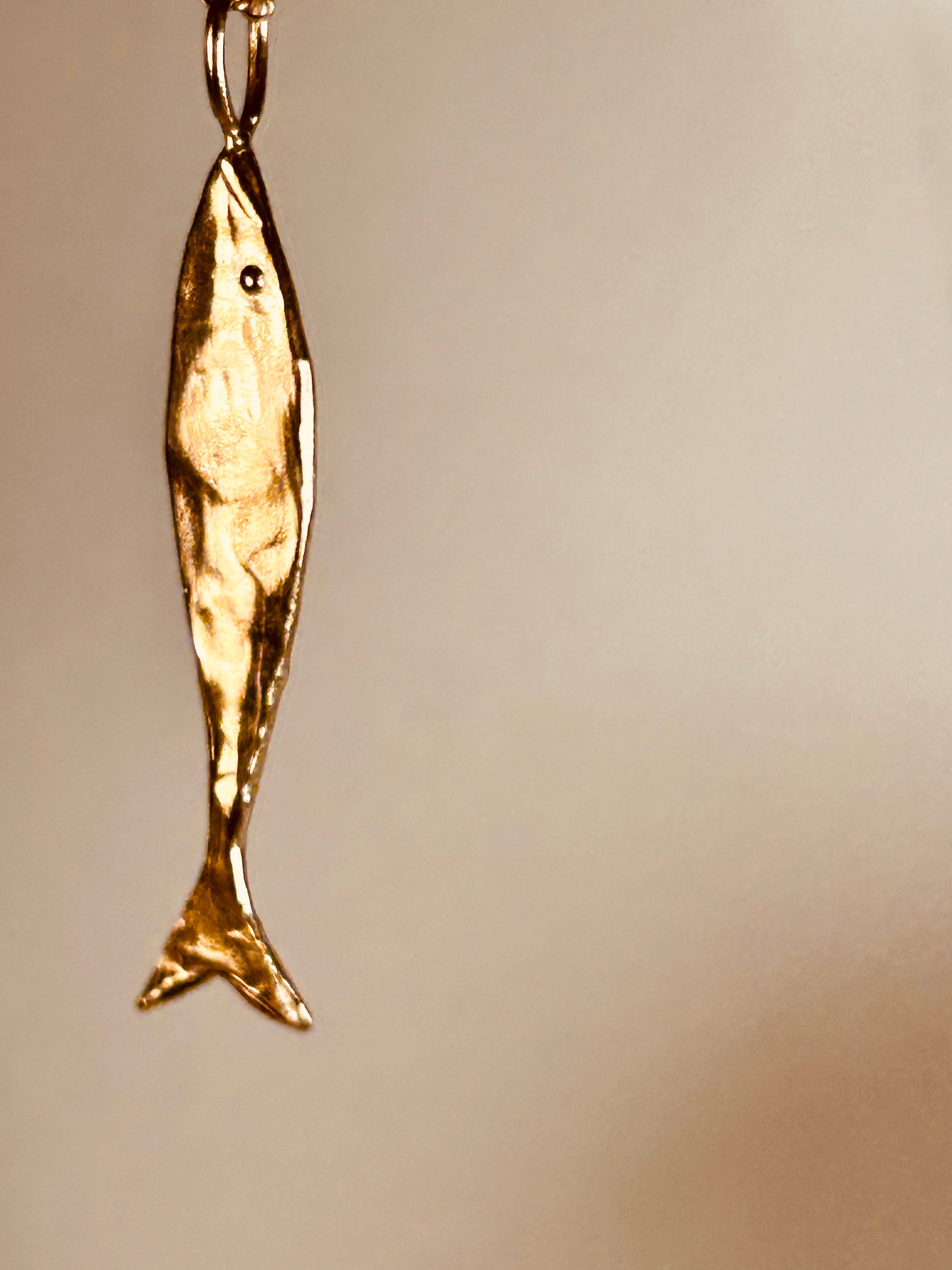 CIONDOLO SARDINA BRONZO