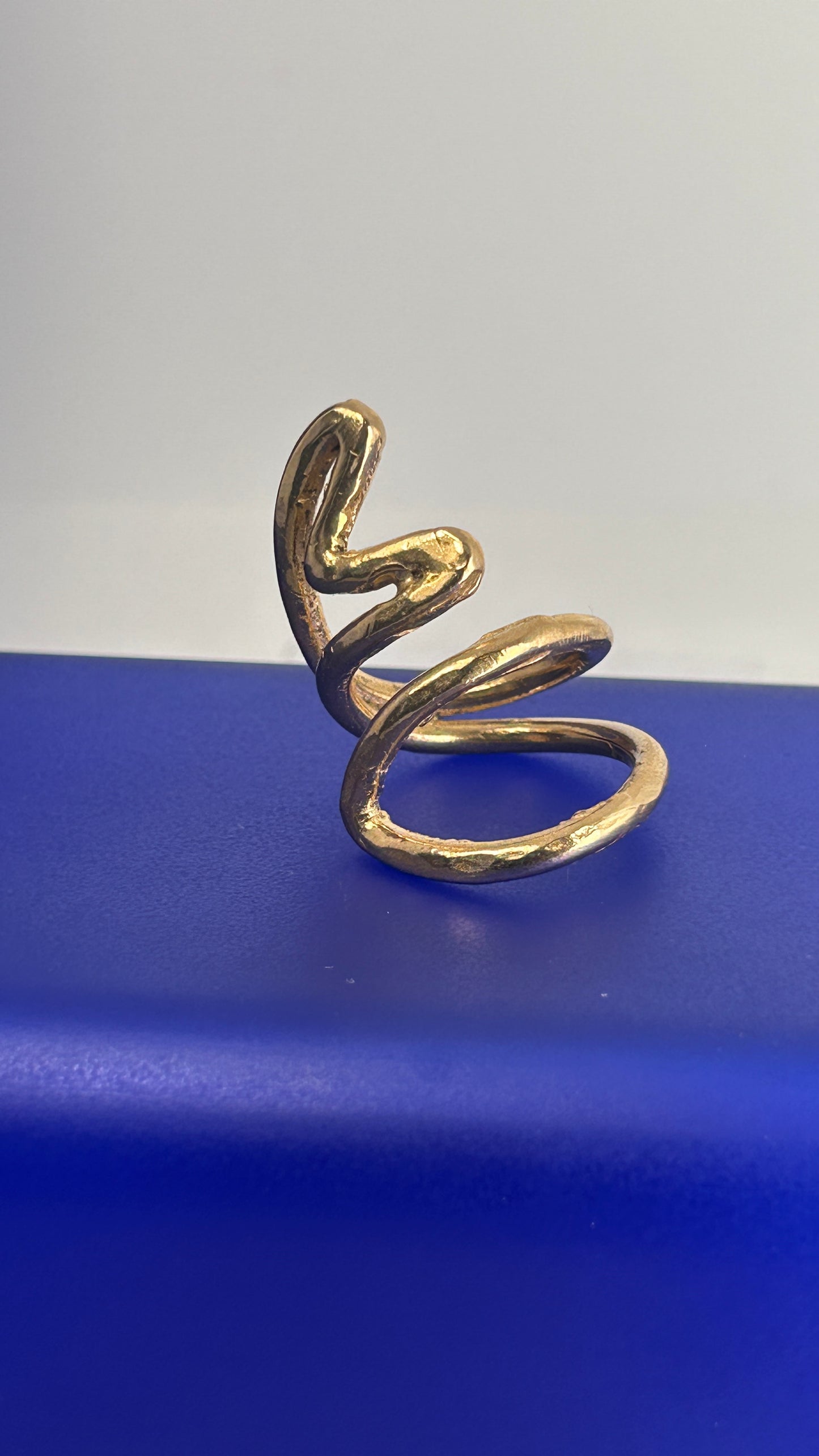 ANELLO HO VISTO UNA SARDINA